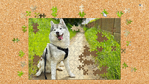 ���������꡼ No.002�Υ���ͥ������ / �֥��������ޥ������ԡ����סȥץԥץ�ʸ���ɤ�ȥ��ĥᥫ�復�� ������Ȱ��ɤʤɡ�5������ɲåѥå����ۿ�