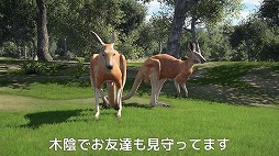 画像ギャラリー No.005のサムネイル画像 / 「ゴルフ PGAツアー 2K21」,オリジナルキャラクターで自分だけのプロゴルファー人生を歩む「キャリアモード」のトレイラーが公開