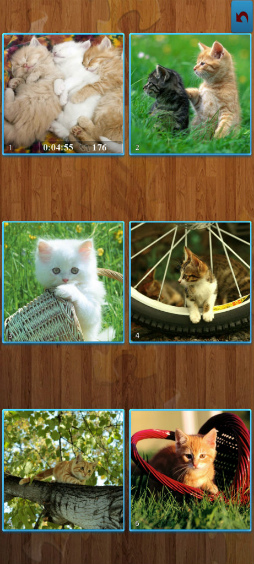 ���������꡼ No.008�Υ���ͥ������ / ���襤��ǭ�μ̿�����꡼�����ޥ۸����ѥ����ǭ�Υ��������ѥ���פ�Ҳ𤹤�֡ʤۤܡ��������ޥۥ������̿�����2296��