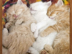 ���襤��ǭ�μ̿�����꡼�����ޥ۸����ѥ����ǭ�Υ��������ѥ���פ�Ҳ𤹤�֡ʤۤܡ��������ޥۥ������̿�����2296��