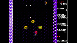 アーケードアーカイブス ラジカルラジアル