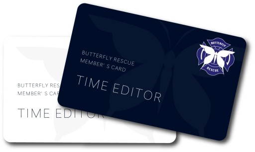 ꡼ No.004 | 饦ɥեǥ󥰤ܤ򽸤AR֥ѥư׳ȯԥ󥿥ӥ塼बƳAR̤Ȥ