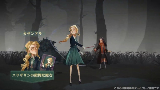 ꡼ No.018Υͥ / ֥ϥ꡼ݥåˡγáפѤХȥҲ𤹤ǿˡ10ǯΥۥĤȤɥХȥRPG