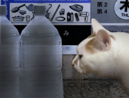 ꡼ No.006 | ۥ顼֤ĤΤҡפSteamǤ813ȯꡣեåޥ2ĤΥʥꥪɲ