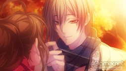 ꡼ No.017 | ֲå4Gamer261󡧡ǦӡĤ for Nintendo SwitchפýǦãȤηŤڤܥ塼1