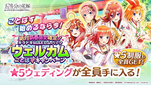 ꡼ No.001 | ֤ȤѤסп!ɥMAXХåڡ󳫺档ȤѤʥե֤ȤȤˤ