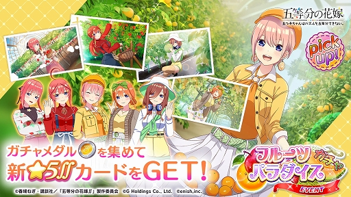 ꡼ No.002 | ֤ȤѤס٥ȡȸޤĻҤΥե롼ĥѥäѤդơɤ򳫺