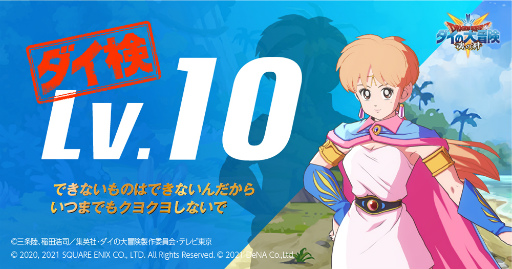 ���������꡼ No.003�Υ���ͥ������ / �֥ɥ饴�󥯥����� �������������פ��μ������ꡤ������������