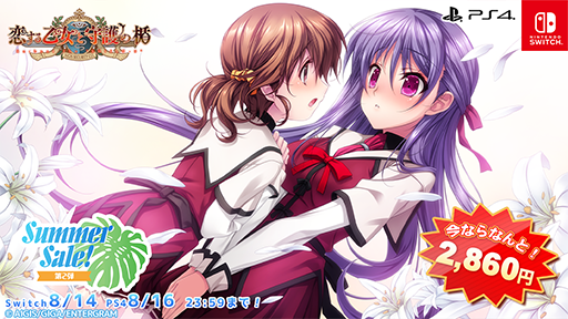 ꡼ No.011Υͥ / ֤ΤСס֤夦Τȡפʤɥ˥Ḷȥ뤬ʲʤˡ󥿡Summer Sale! 2ơפ򳫺