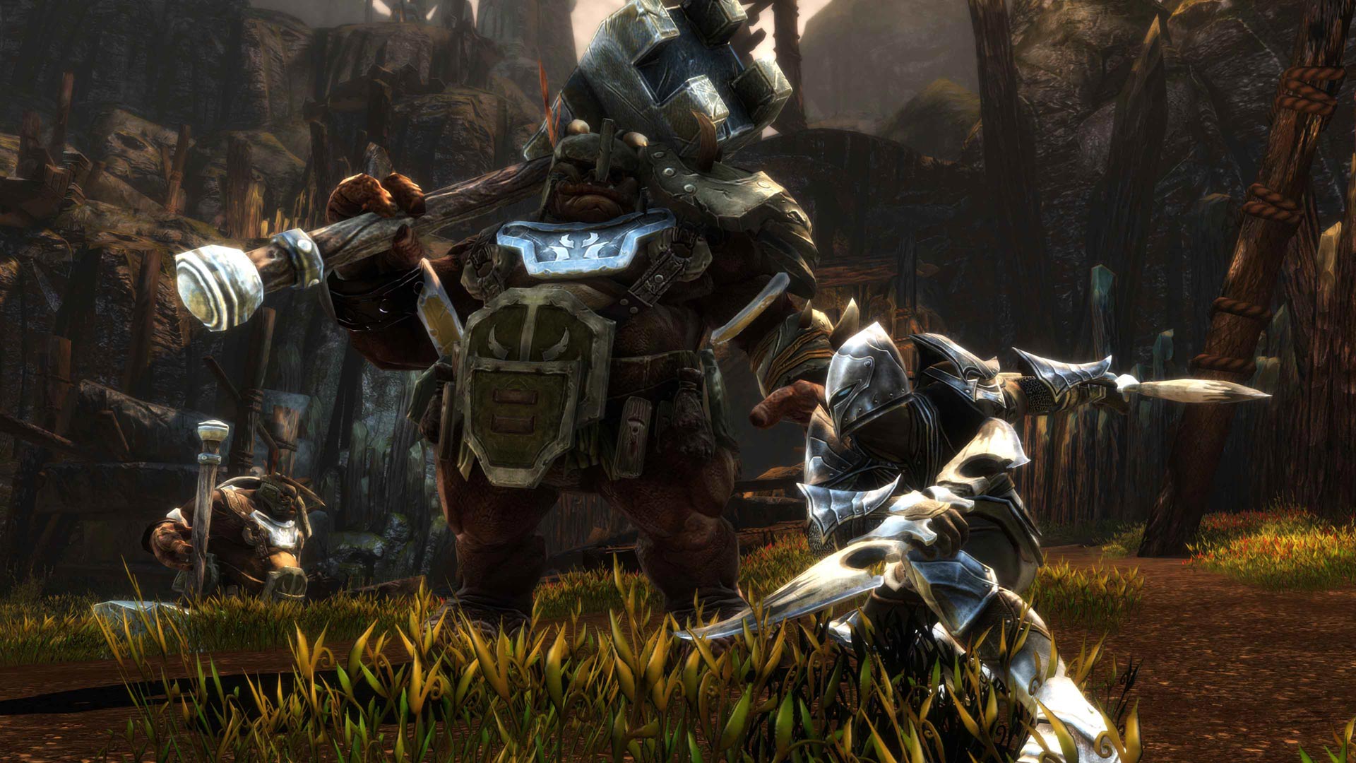 画像集 007 Ps4用オープンワールドアクションrpg Kingdoms Of Amalur Re Reckoning の日本