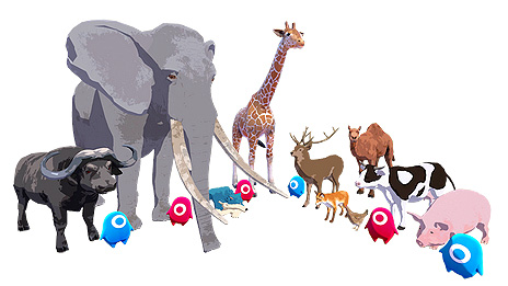 ꡼ No.009 | SteamǤΡ֥եȥԥ߷50ܤˡ񻺤ȥϥ鼫ưۥޥбץɥХХ륢