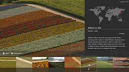 ꡼ No.024 | ֥ġꥹ7ס󥨥IIIWRX STi '04ʤ3ּɲäءХ꡼ߥ塼å꡼ץý⹹