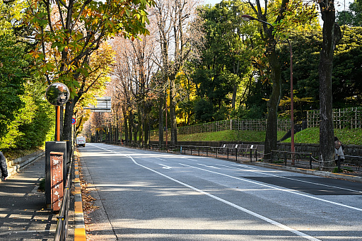 ���������꡼ No.008�Υ���ͥ������ / �����ġ��ꥹ���̾��������������롼��246�פ��⤯��20ǯ����꡼����GT4�����Ѥ�ä���ꡤ�Ѥ��ʤ���ꡤ�����Ƥ��줫���Ѥ����