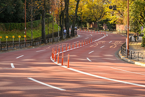 ���������꡼ No.011�Υ���ͥ������ / �����ġ��ꥹ���̾��������������롼��246�פ��⤯��20ǯ����꡼����GT4�����Ѥ�ä���ꡤ�Ѥ��ʤ���ꡤ�����Ƥ��줫���Ѥ����