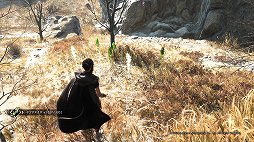 ꡼ No.012 | Υץ쥤ݡϡFORSPOKENפϡΰ˾줿ޥɥҤˡȥѥ륯Ωץɥ