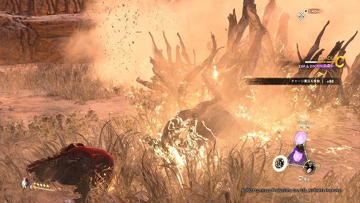 ꡼ No.019 | Υץ쥤ݡϡFORSPOKENפϡΰ˾줿ޥɥҤˡȥѥ륯Ωץɥ