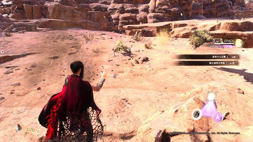 ꡼ No.024 | Υץ쥤ݡϡFORSPOKENפϡΰ˾줿ޥɥҤˡȥѥ륯Ωץɥ