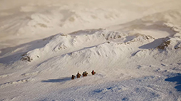 ꡼ No.021Υͥ / 󥹥ĴȤι륢ADVLittle Devil Inside׺ǿ4ǯ֤˥åץǡʸȯɽ