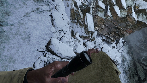 ꡼ No.007 | ˤʤ꤭äƥץ쥤֥Хϥɡå VR⡼ɡפκǿȥ쥤顼θǤۿ