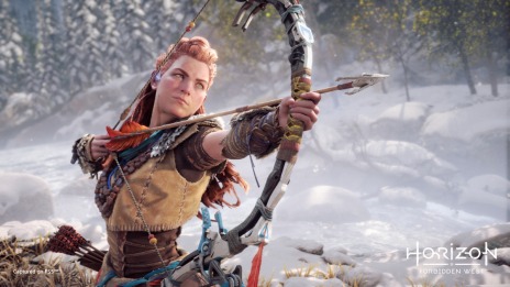 ꡼ No.002 | Horizon Forbidden WestץιۤؤΥ󥿥ӥ塼ܡ륢ȤΡȥεɤ⤪Ϫ