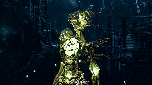 ꡼ No.005 | Returnalס͸졼ͤŨФʪξҲȥ쥤顼PS.Blogˤˤǥ