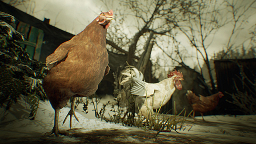 ���������꡼ No.004�Υ���ͥ������ / ȯ��������˹������֥Х����ϥ����ɡ�������å��פκǿ����󤬸���������20��00���ȯ��ľ���������Ȥ��ۿ�