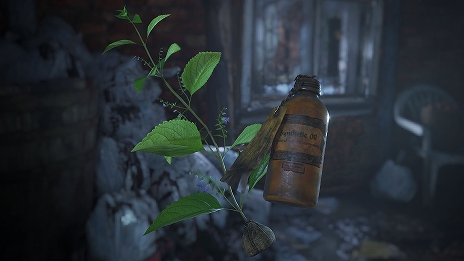 ���������꡼ No.015�Υ���ͥ������ / ȯ��������˹������֥Х����ϥ����ɡ�������å��פκǿ����󤬸���������20��00���ȯ��ľ���������Ȥ��ۿ�