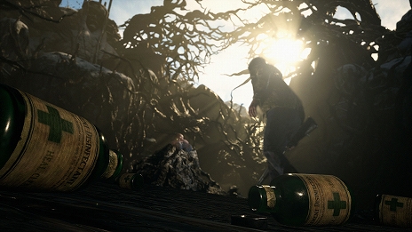 ���������꡼ No.021�Υ���ͥ������ / ȯ��������˹������֥Х����ϥ����ɡ�������å��פκǿ����󤬸���������20��00���ȯ��ľ���������Ȥ��ۿ�