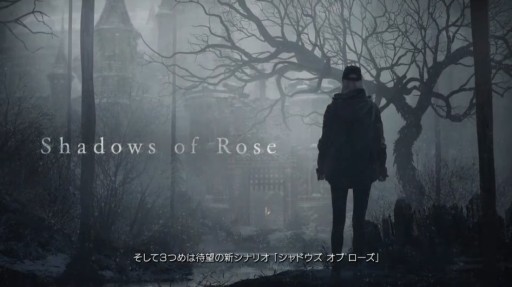 ꡼ No.005 | ֥ХϥɡåɲDLCȥ󥿡 ѥ󥷥ɤ1028ȯꡣREСפƱ꡼