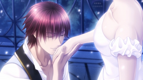 ���������꡼ No.002�Υ���ͥ������ / Nintendo Switch�Ѳ���������ּ����Υץ�󥹤��ޡפ��ۿ�����