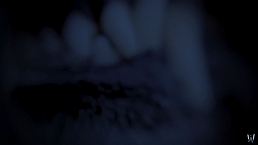 ���������꡼ No.004�Υ���ͥ������ / �������å��㡼��ȯ���С������߽Ф���Werewolf: The Apocalypse�ץ��꡼������2�ȯɽ