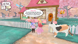 ꡼ No.003Υͥ / ˡͥեκƶܻؤCalicoפΥץ쥤ȥ쥤顼