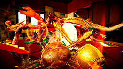 ���������꡼ No.012�Υ���ͥ������ / ���ˤȤʤꥫ�ˤ��臘3D��Ʈ���������֥��˥Υ��󥫡ס�Switch�Ǥ�8��20��ȯ�䡣7��30����꡼����Steam�ǤȤΥ������ץ쥤�ˤ��б�