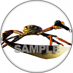 ꡼ No.004 | ֥˥Υ -Fight Crab-סŵϡ֥ꥸʥ륵ȥססŹŵ