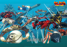 ���������꡼ No.009�Υ���ͥ������ / Switch�ǡ֥��˥Υ��� -Fight Crab-�פ�����ȯ�䡣������2�ʤβλ��դ�MV�ʥ��硼��Ver.�ˤ�����