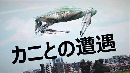 ���������꡼ No.002�Υ���ͥ������ / Switch�ǡ֥��˥Υ��󥫡פ�Web����CM��2�Ƥ���������ǰ�����ڡ���Ⳬ��