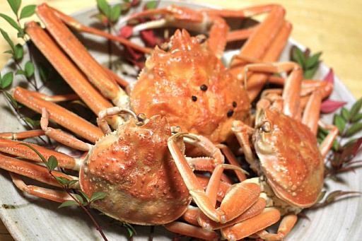 ꡼ No.003 | Switchǡ֥˥Υ󥫡סȥ˥Υ󥫤Υᥫ˥PVɤ