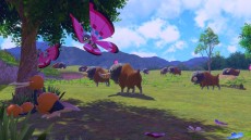 ꡼ No.062 | New ݥ󥹥ʥåספκǿȥ쥤顼ƥȤˡ䡤̿ζͭǽʤɤ餫