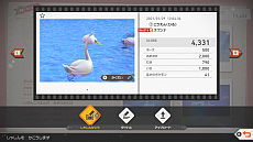 画像ギャラリー No.016のサムネイル画像 / 「New ポケモンスナップ」の遊び方を詳しく紹介する最新プロモーション映像が公開