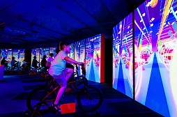 ꡼ No.008 | ȥƥ󡤥ݥθŸPOK&#201;MON COLORSɤ˻