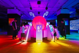 ꡼ No.020 | ȥƥ󡤥ݥθŸPOK&#201;MON COLORSɤ˻