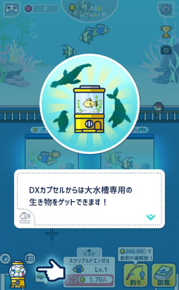 ���������꡼ No.010�Υ���ͥ������ / ��ä�����Ÿ�����褦�����ޥ۸������֥�����֥ߥ˥��奢��²�ۡפ�Ҳ𤹤�֡ʤۤܡ��������ޥۥ������̿�����2331��