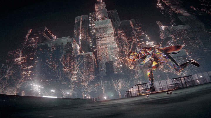 ꡼ No.011 | 饹Τ餻ϥܡǷܻؤǥå륹ܡSkate Storyסȯ