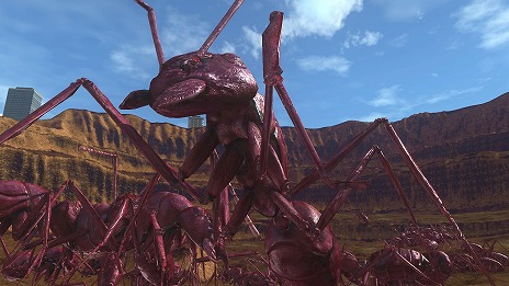 ꡼ No.009Υͥ / ϵɱҷ6סάԤ夤ϵθ䡤ΥȤʤEDF251ִϡɤξ餫