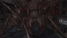 ���������꡼ No.065�Υ���ͥ������ / ���ϵ��ɱҷ�6�׵��祢��ɥ����ɡȥ��奯���ץ��ɤ�����緿���������о졣�ϵ���絤��ʬ���Ѽ����������֡ȥ����ꥢ��ĥ꡼�ɤ�