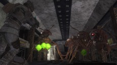 ���������꡼ No.071�Υ���ͥ������ / ���ϵ��ɱҷ�6�׵��祢��ɥ����ɡȥ��奯���ץ��ɤ�����緿���������о졣�ϵ���絤��ʬ���Ѽ����������֡ȥ����ꥢ��ĥ꡼�ɤ�