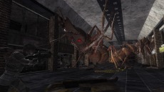 ���������꡼ No.072�Υ���ͥ������ / ���ϵ��ɱҷ�6�׵��祢��ɥ����ɡȥ��奯���ץ��ɤ�����緿���������о졣�ϵ���絤��ʬ���Ѽ����������֡ȥ����ꥢ��ĥ꡼�ɤ�