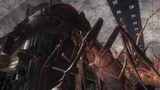 ���������꡼ No.074�Υ���ͥ������ / ���ϵ��ɱҷ�6�׵��祢��ɥ����ɡȥ��奯���ץ��ɤ�����緿���������о졣�ϵ���絤��ʬ���Ѽ����������֡ȥ����ꥢ��ĥ꡼�ɤ�