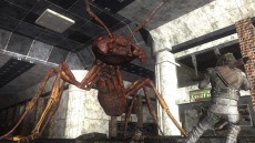 ���������꡼ No.078�Υ���ͥ������ / ���ϵ��ɱҷ�6�׵��祢��ɥ����ɡȥ��奯���ץ��ɤ�����緿���������о졣�ϵ���絤��ʬ���Ѽ����������֡ȥ����ꥢ��ĥ꡼�ɤ�