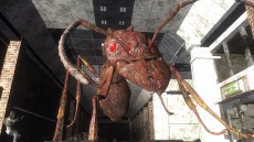 ���������꡼ No.080�Υ���ͥ������ / ���ϵ��ɱҷ�6�׵��祢��ɥ����ɡȥ��奯���ץ��ɤ�����緿���������о졣�ϵ���絤��ʬ���Ѽ����������֡ȥ����ꥢ��ĥ꡼�ɤ�